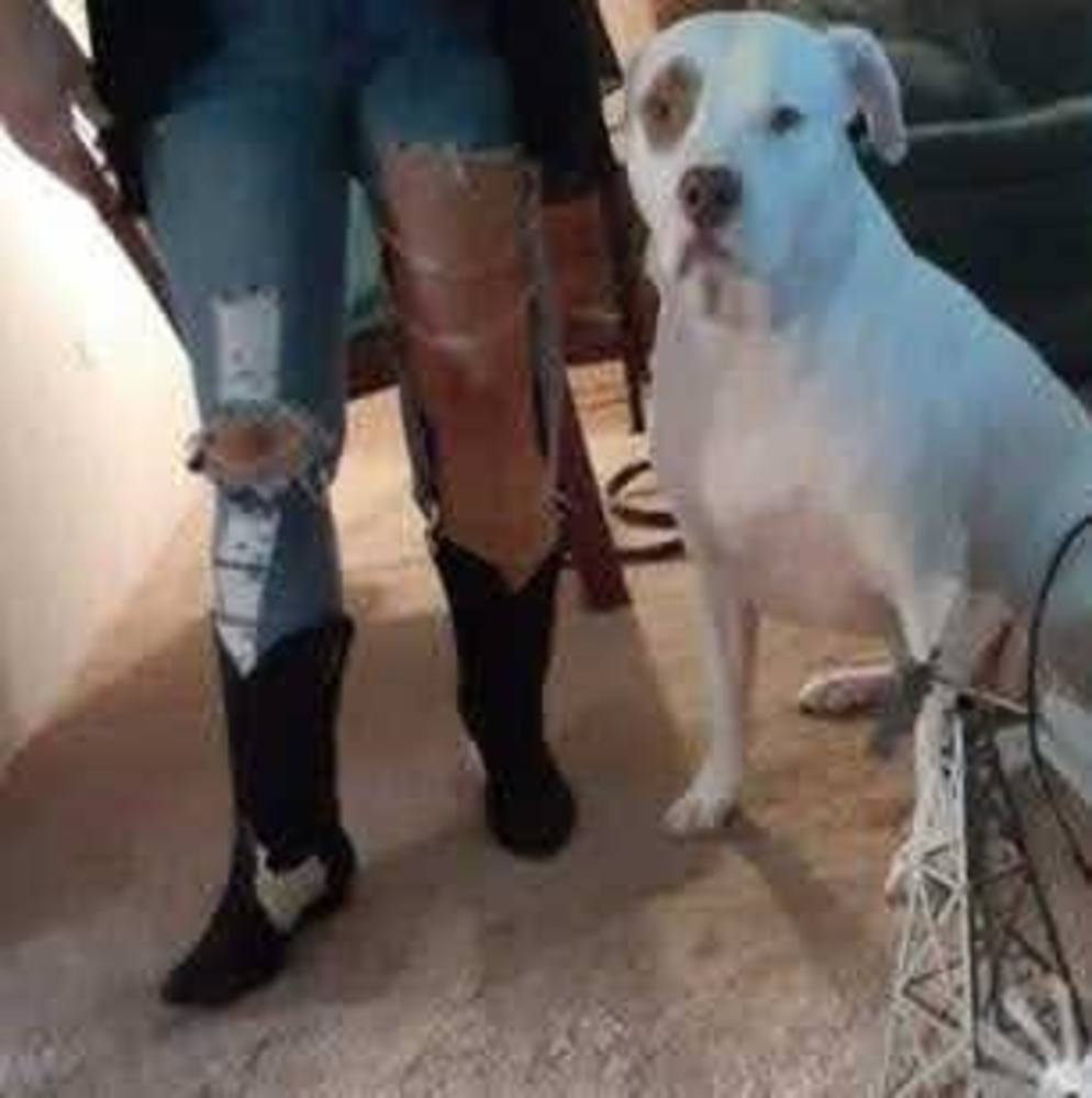 Meet your Posher, Tianna